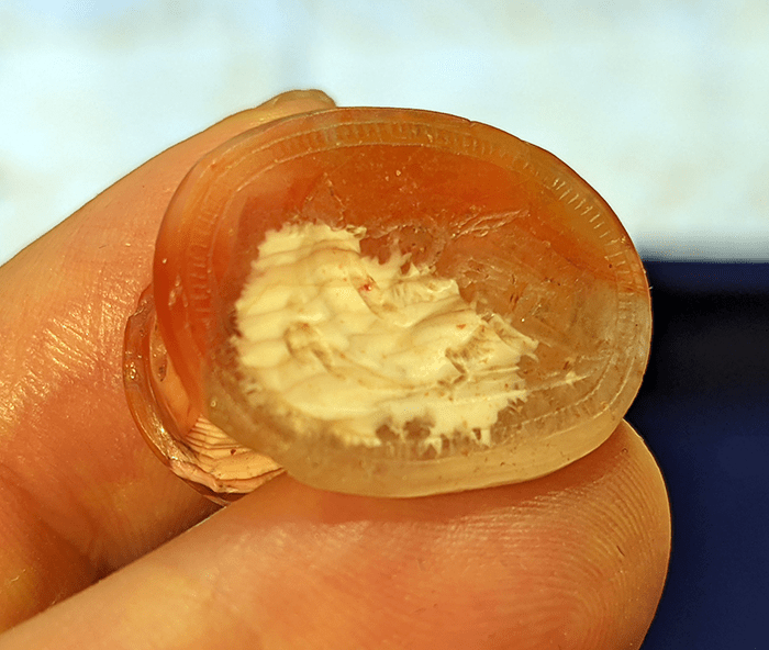 Antique Wax Stamp Seals Fine Art - Anthroposophy Shop