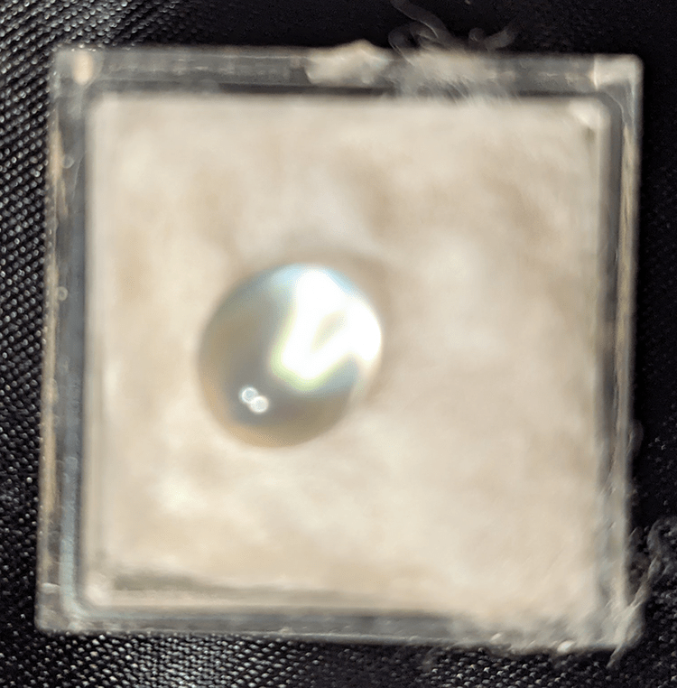 Clear Translucent Polished Moonstone - Anthroposophy Shop