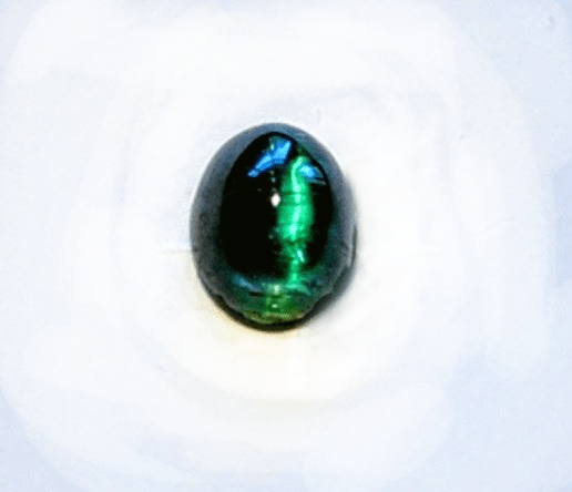 Rare Cat's Eye Blue - Green Tourmaline (Christ Stone) - Anthroposophy Shop